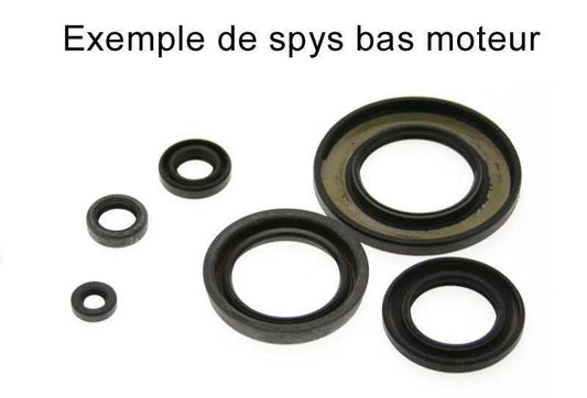 CENTAURO Complete gasket set for engine