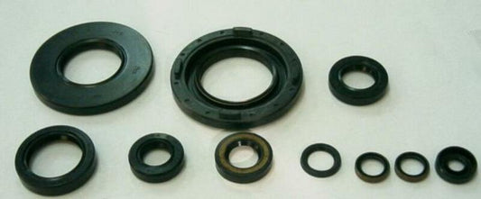 TOURMAX Oil seal set (engine)