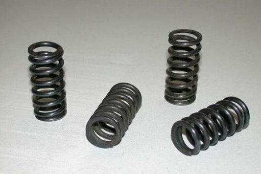 SET CLUTCH SPRINGS EXC, SX250 '96-05 