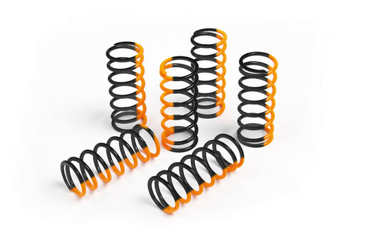 S3 clutch spring set Racing Beta/Sherco 