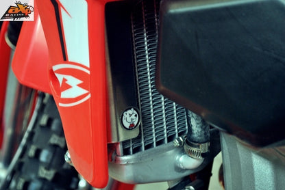 AXP Aluminum radiator protector - Beta RR350 