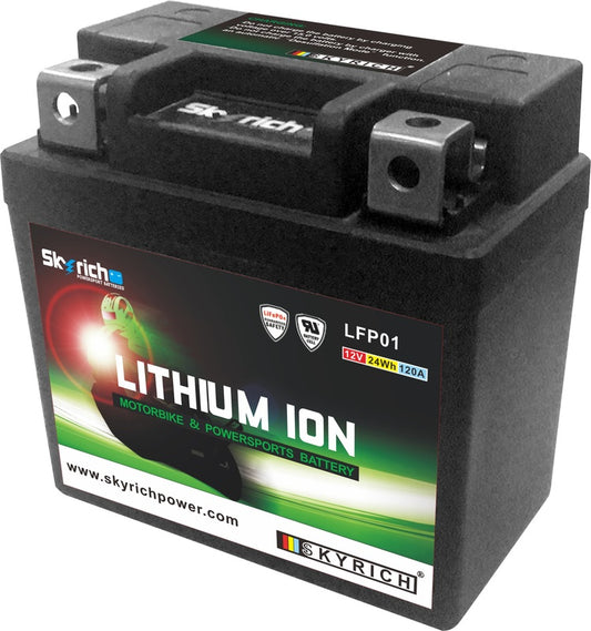 SKYRICH Battery Lithium-Ion - LFP01 