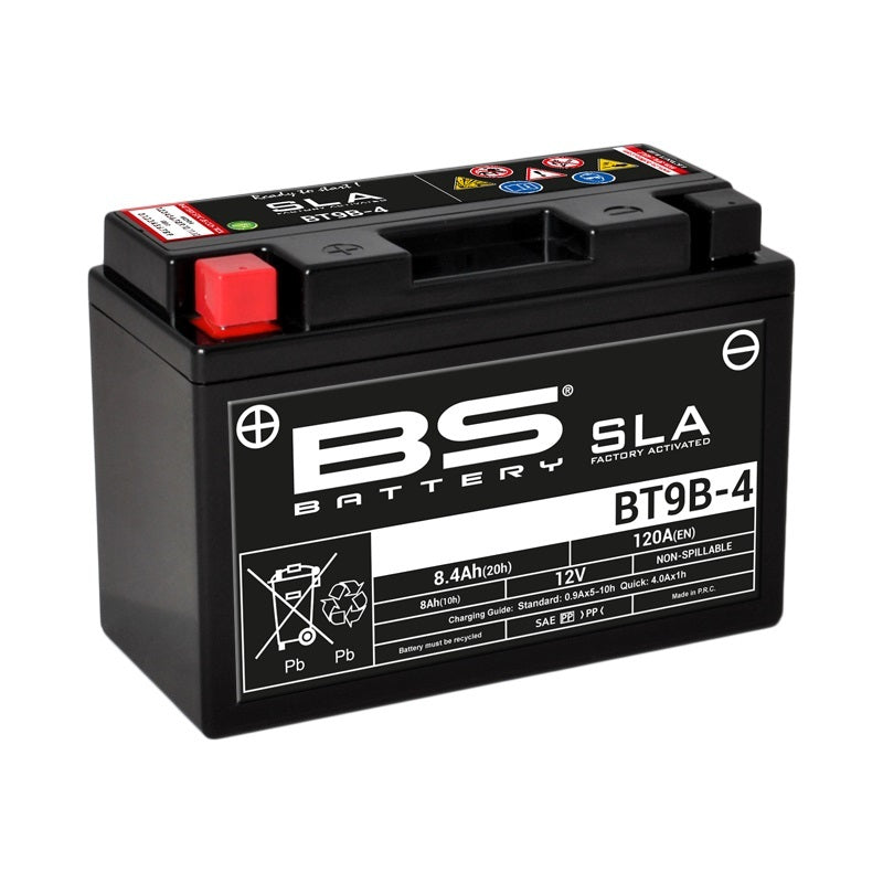 BS BATTERY SLA Accu Onderhoudsvrij af fabriek geactiveerd - BT9B-4