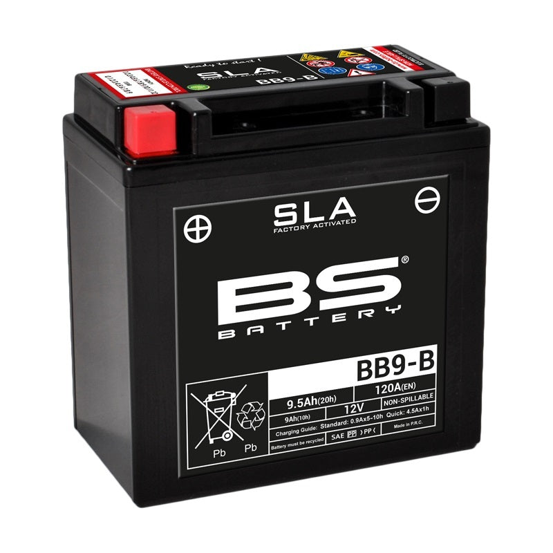 BS BATTERY SLA Accu Onderhoudsvrij af fabriek geactiveerd - BB9-B