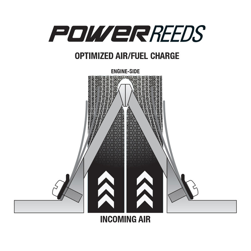 BOYESEN Power Reeds - 616