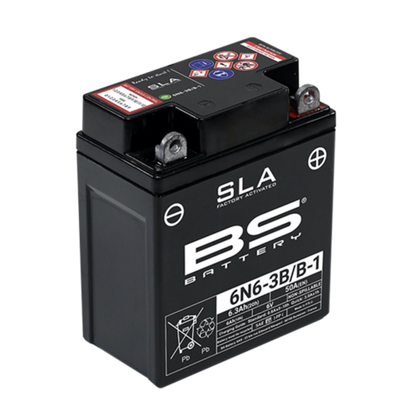 BS BATTERY SLA Battery Maintenance Free Factory Activated - 6N6-3B/B-1