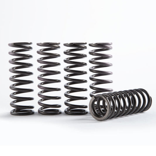 HINSON Hi-Temp Clutch Spring Kit