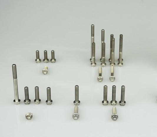 SCAR Engine Bolts Titan 40 pcs.